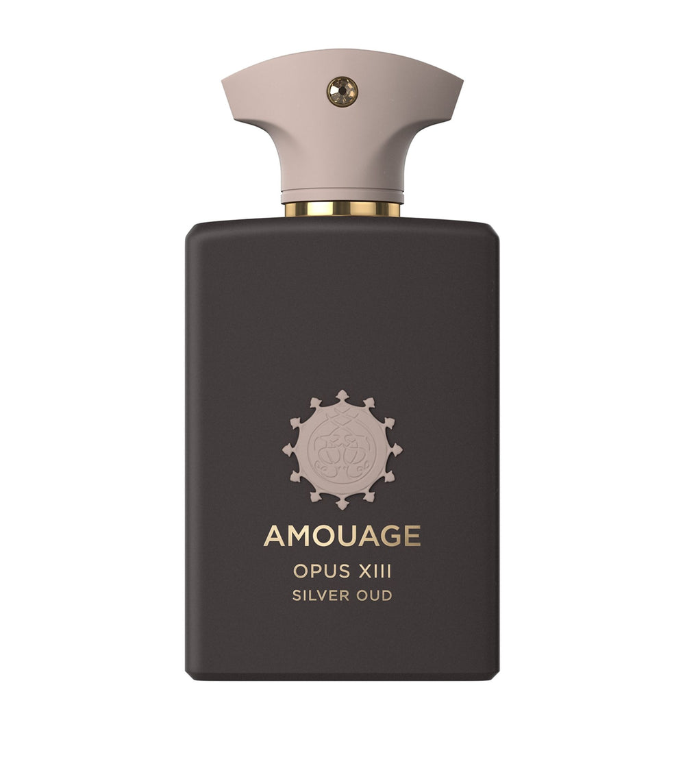 Amazon.com: AMOUAGE PURPOSE Eau de Parfum - Universal